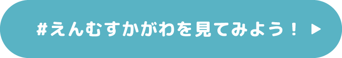 #えんむすかがわを見てみよう